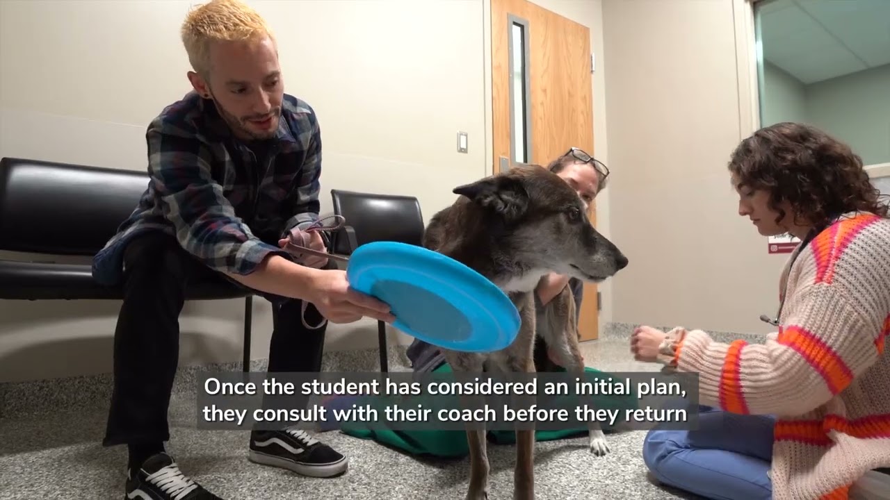 Frank Stanton Veterinary Spectrum of Care Clinic: What to Expect