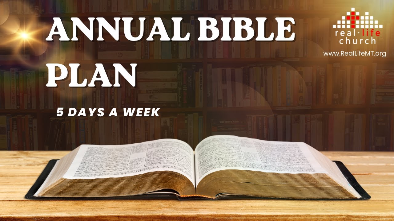 Day 1   Genesis 1&2, Mark 1, Psalm 19