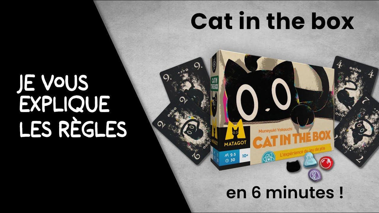 Je vous explique les règles du jeu CAT IN THE BOX en moins de 6 minutes!