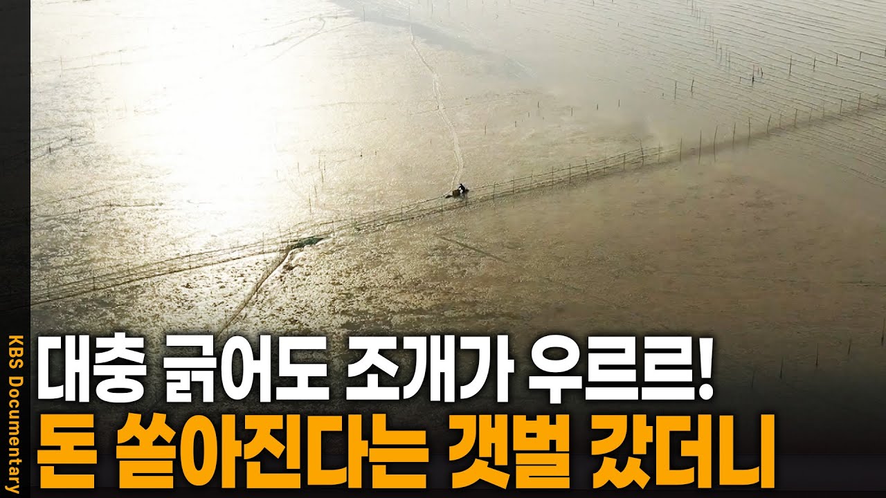 긁었다 하면 조개가 우르르!, 자연의 걸작 갯벌을 가다 | KBS 20210930 방송