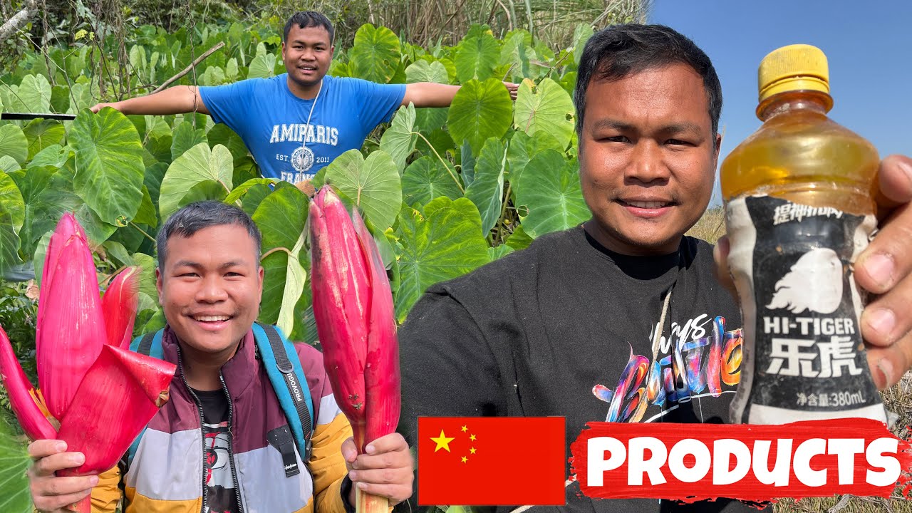 Jungle Foraging: Discovering Nature's Hidden Vegetables | Found some Chinese 🇨🇳 Products 