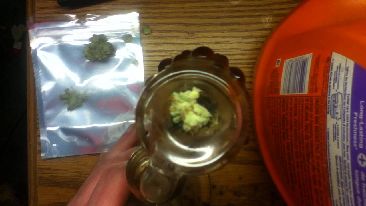 White Fire OG X Pearl Scout Cookies Strain Review