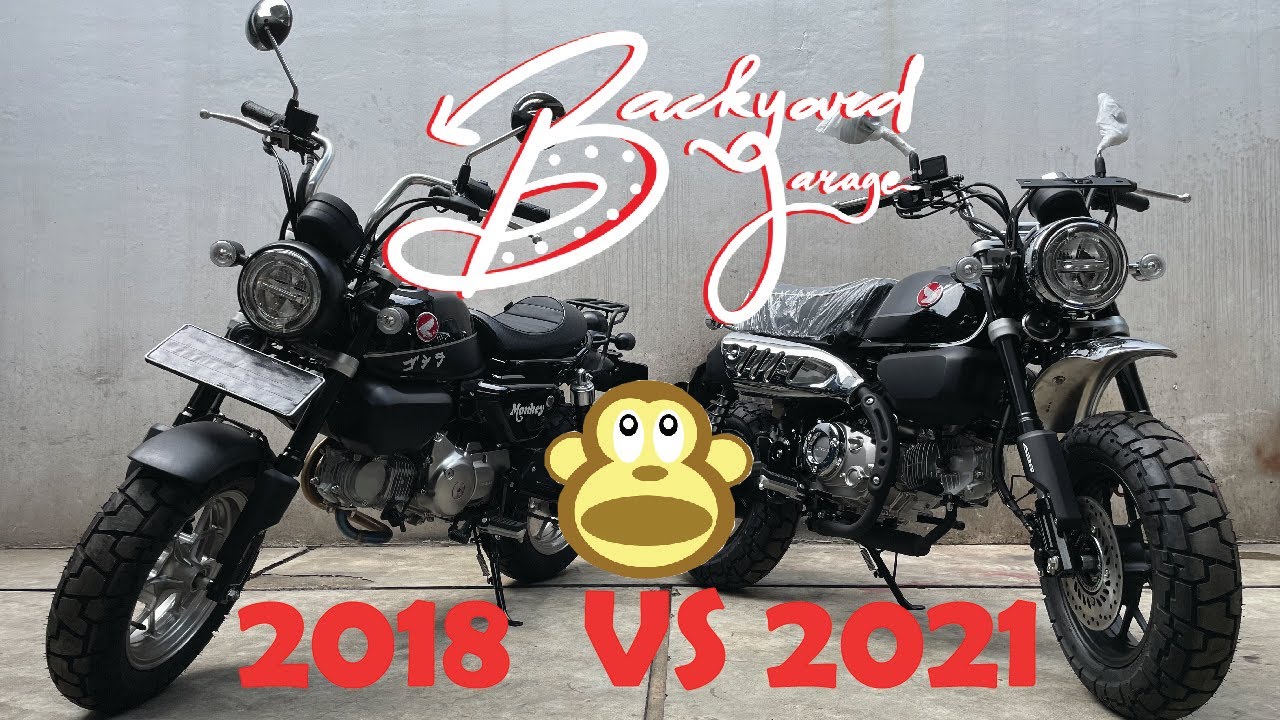APA SIH BEDANYA MONKEY 2018 n 2021?!! KAN SAMA SAMA MONYET!!
