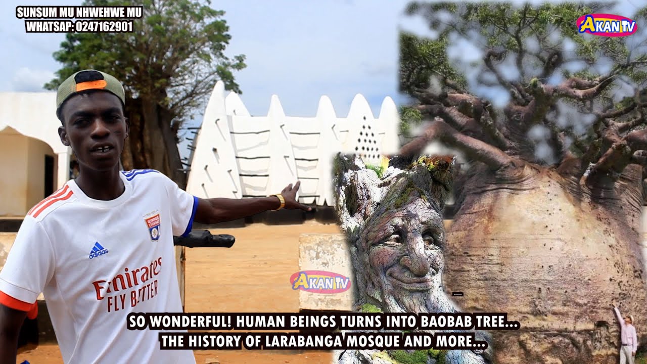 SO WONDERFUL! HUMAN BEINGS TURNS INTO BAOBAB TREE...THE HISTORY OF LARABANGA MOSQUE , OLDEST MOSQUE