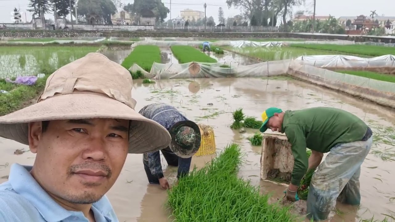 Thương Người  Nông  Dân  . Cả Khucd Mới
