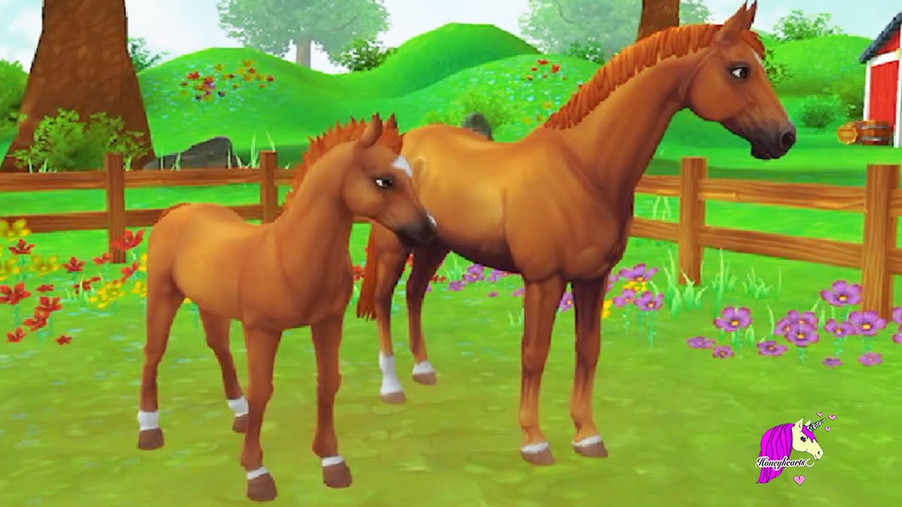 Taking Care of A Mare In Foal ! Star Stable Online Horse App Video