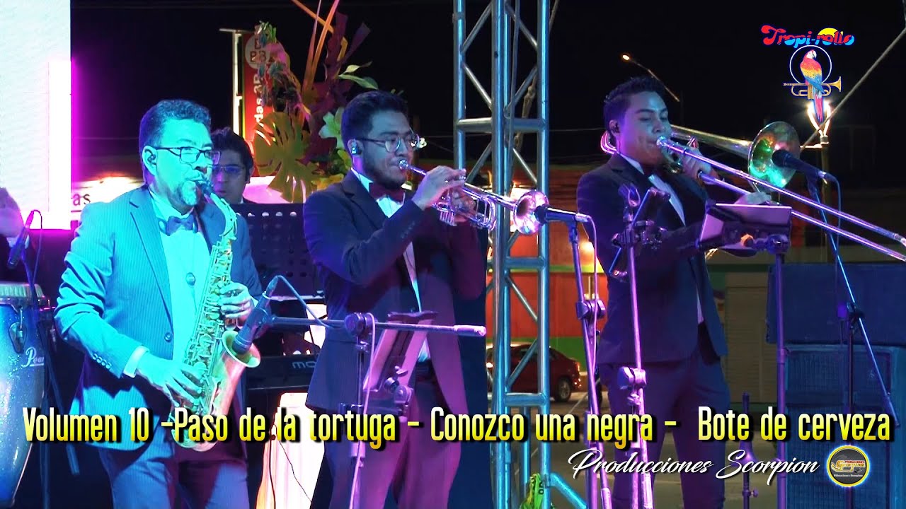 Tropi Rollo 💥 Volumen 10 💿 El Paso de la tortuga - Conozco una negra -Bote de cerveza 🍺