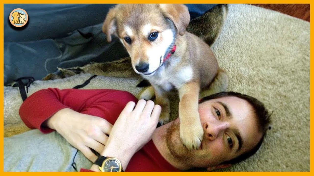 Funny Dog Video-Thought I adopted a dog, turns out I got a full-time comedian