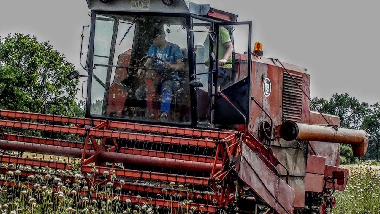 Żniwa  2019 || Pierwsze w Polsce || Koszenie Ostropestu z Bizonem z056