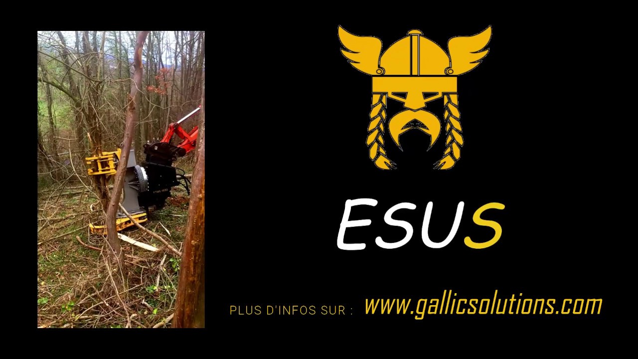 ESUS 400 - Sécateur forestier/Cisaille forestière idéal pour ébranchage, bords de routes et rivières