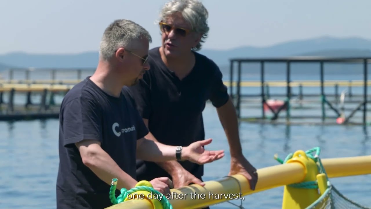 Cromaris cruise with Giorgio Locatelli