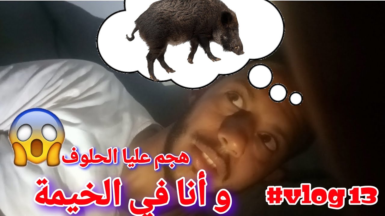 VLOG 13 / نعست وسط الغابة أو جا عندي الحلوف - وصلت المركز الحدودي زوج بغال بين المغرب و الجزائر