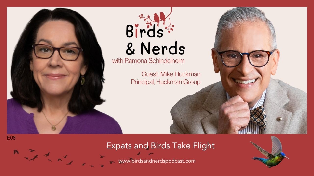 Birds and Nerds | Expats and Birds Take Flight