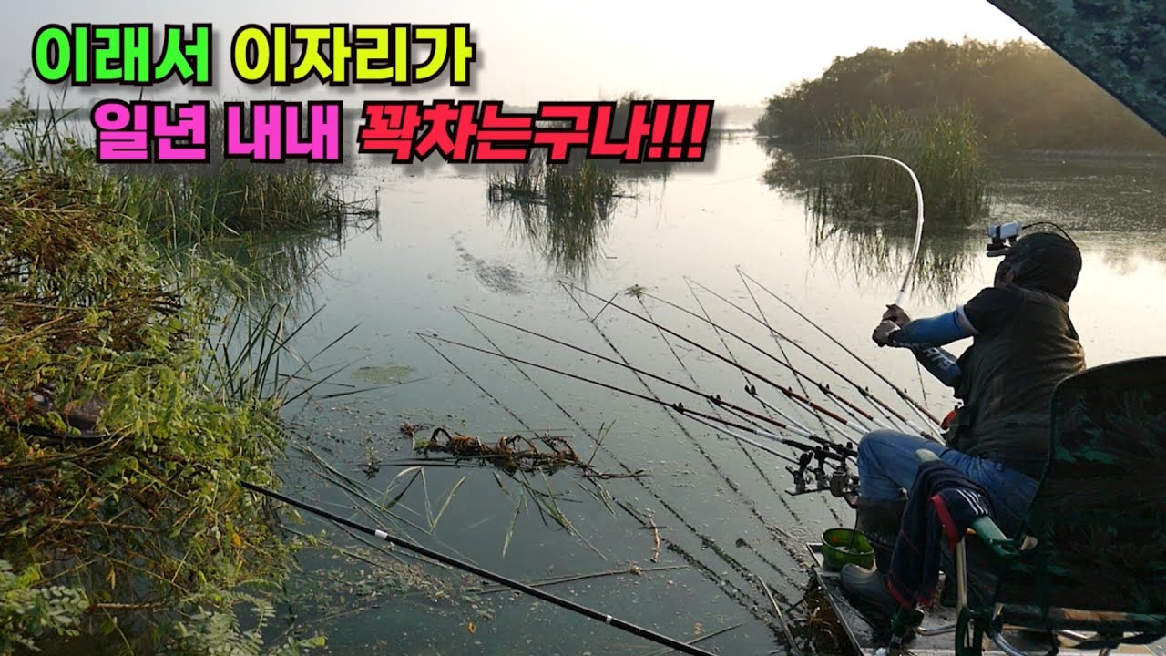 이래서 이자리가 일년내내 꽉 차는구나!!! 초가을 대물 붕어낚시