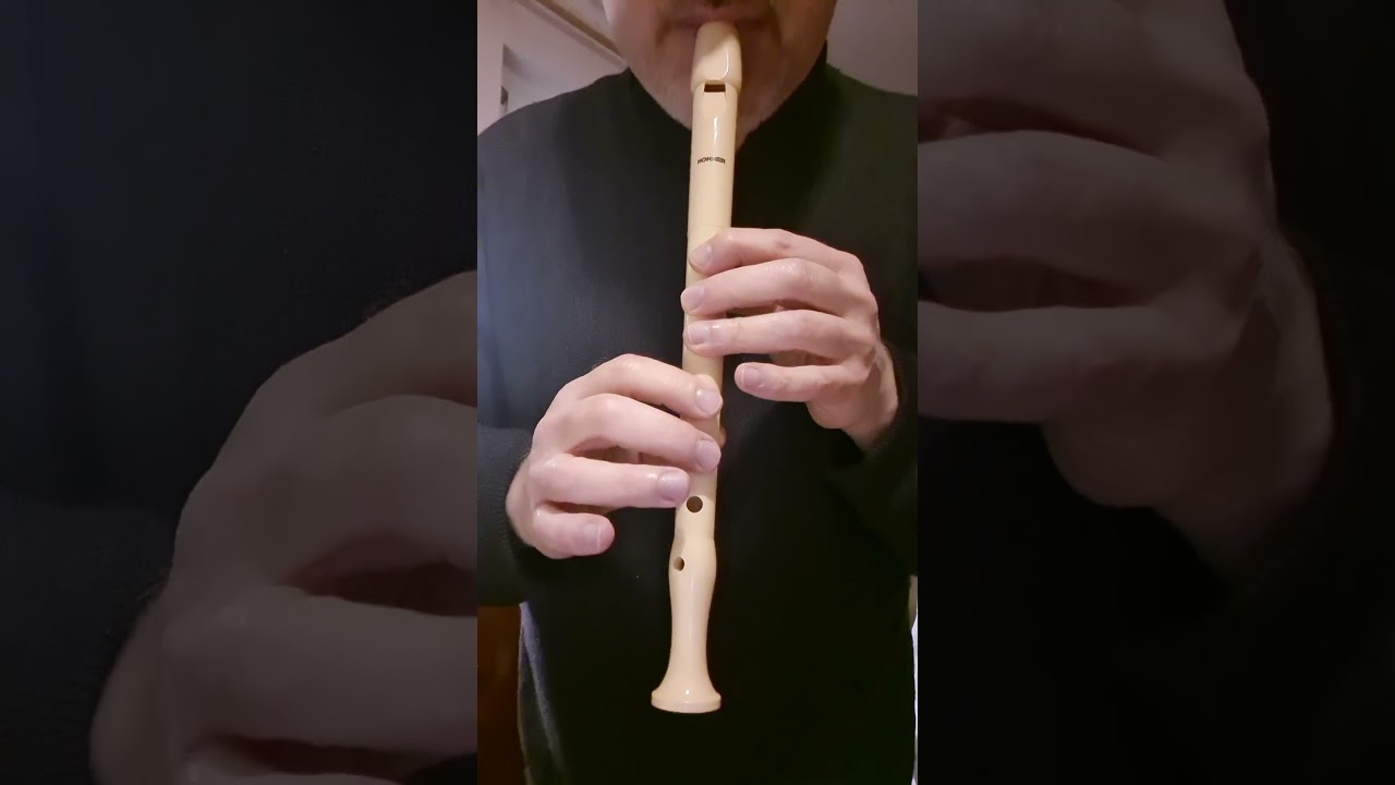 Blockfl&ouml;te f&uuml;r Kinder ab 7 Jahren Alt spielen lernen mit Alexander Vinokurov 2024