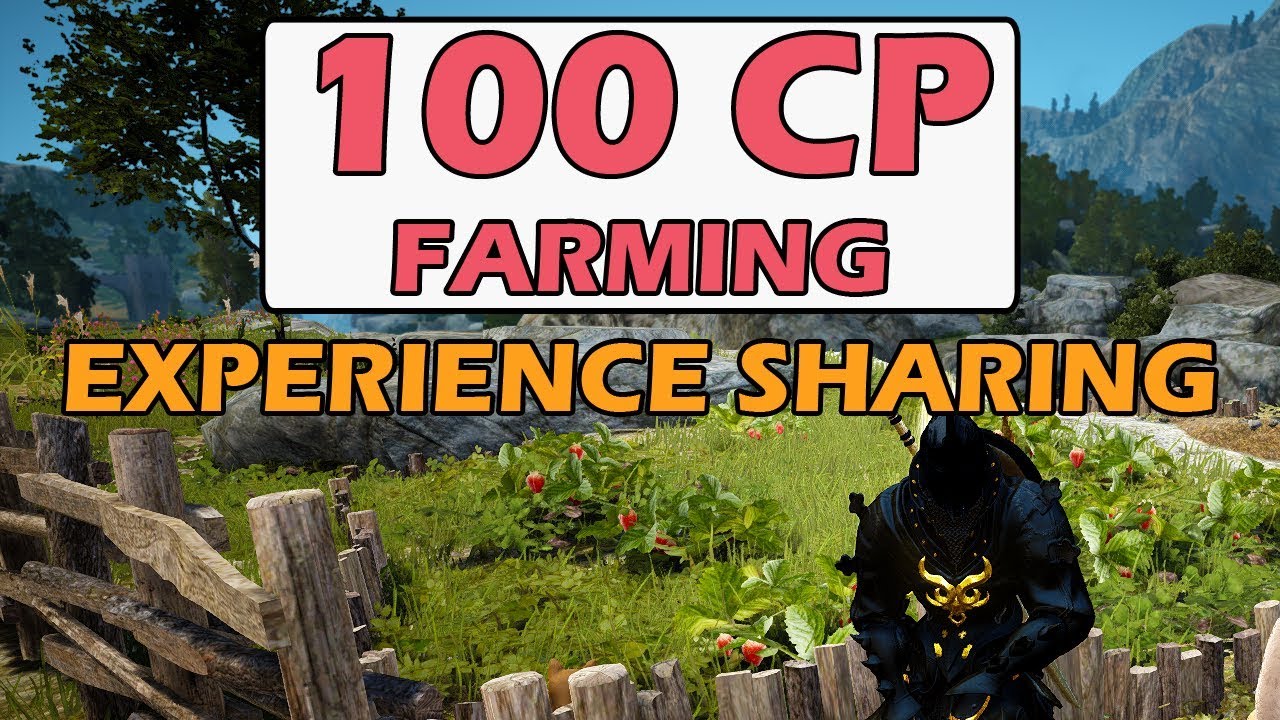 100 Contribution Points Farming Experience Sharing - Black Desert Online SEA
