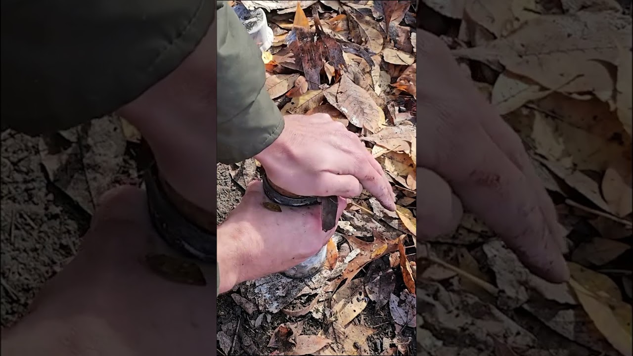 How to extract oil from wood  🪵