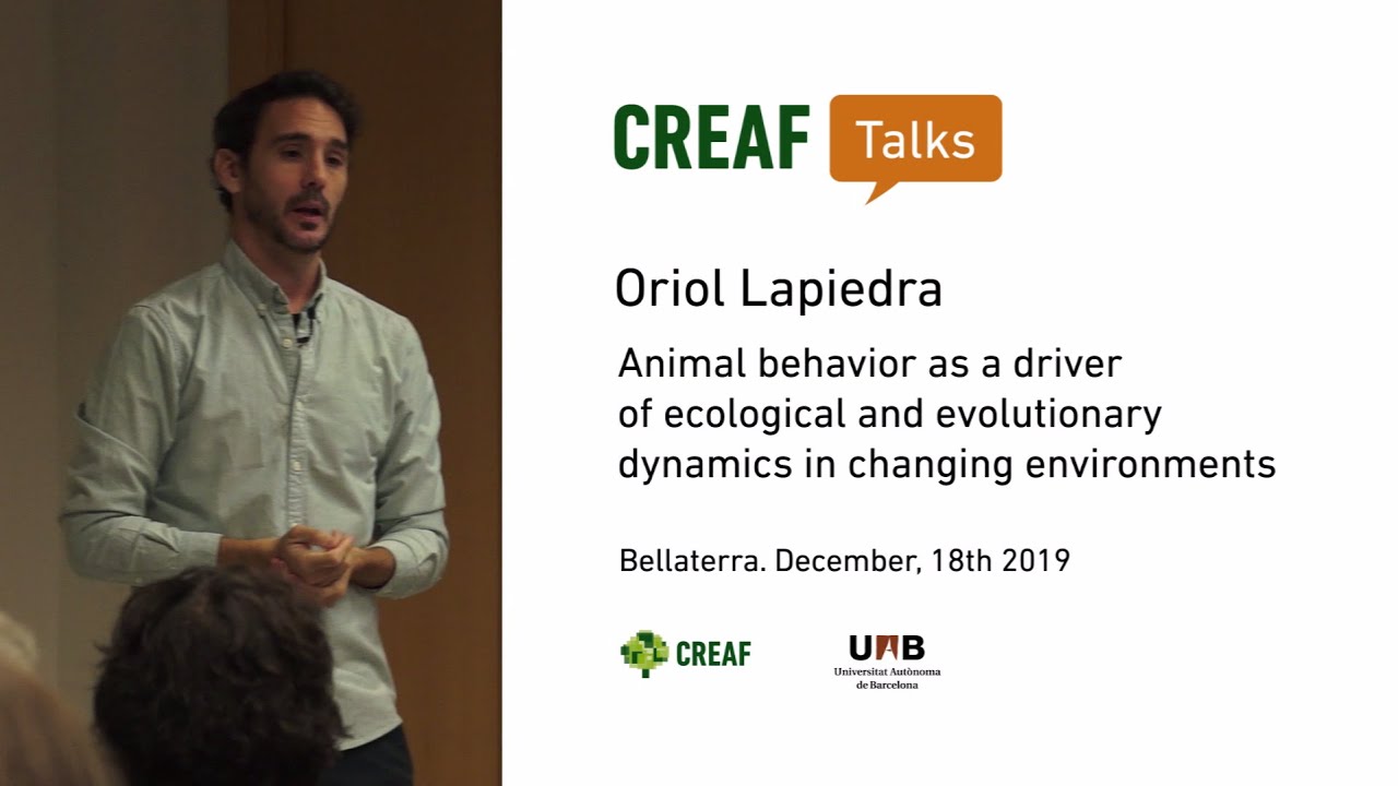 CREAF Talks. Oriol Lapiedra: Animal behavior as a driver of ecological and evolutionary dynamics