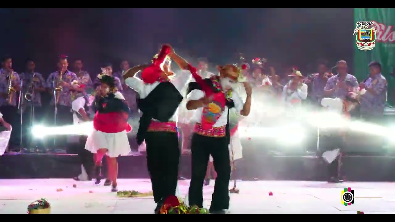 Comun Huaylarsh de Viques 2025(carnaval Viquesino)