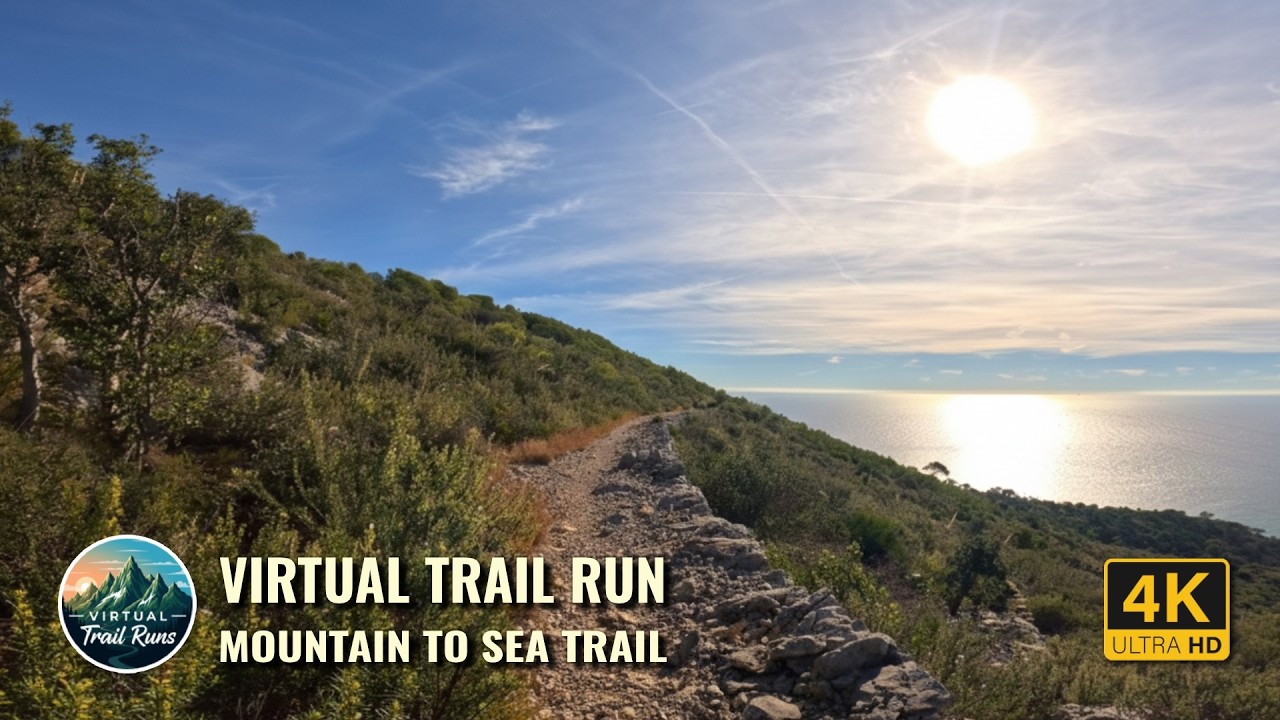 4K Virtual Treadmill Run – Flow to the Coast | Steep Climbs & Ridge Views