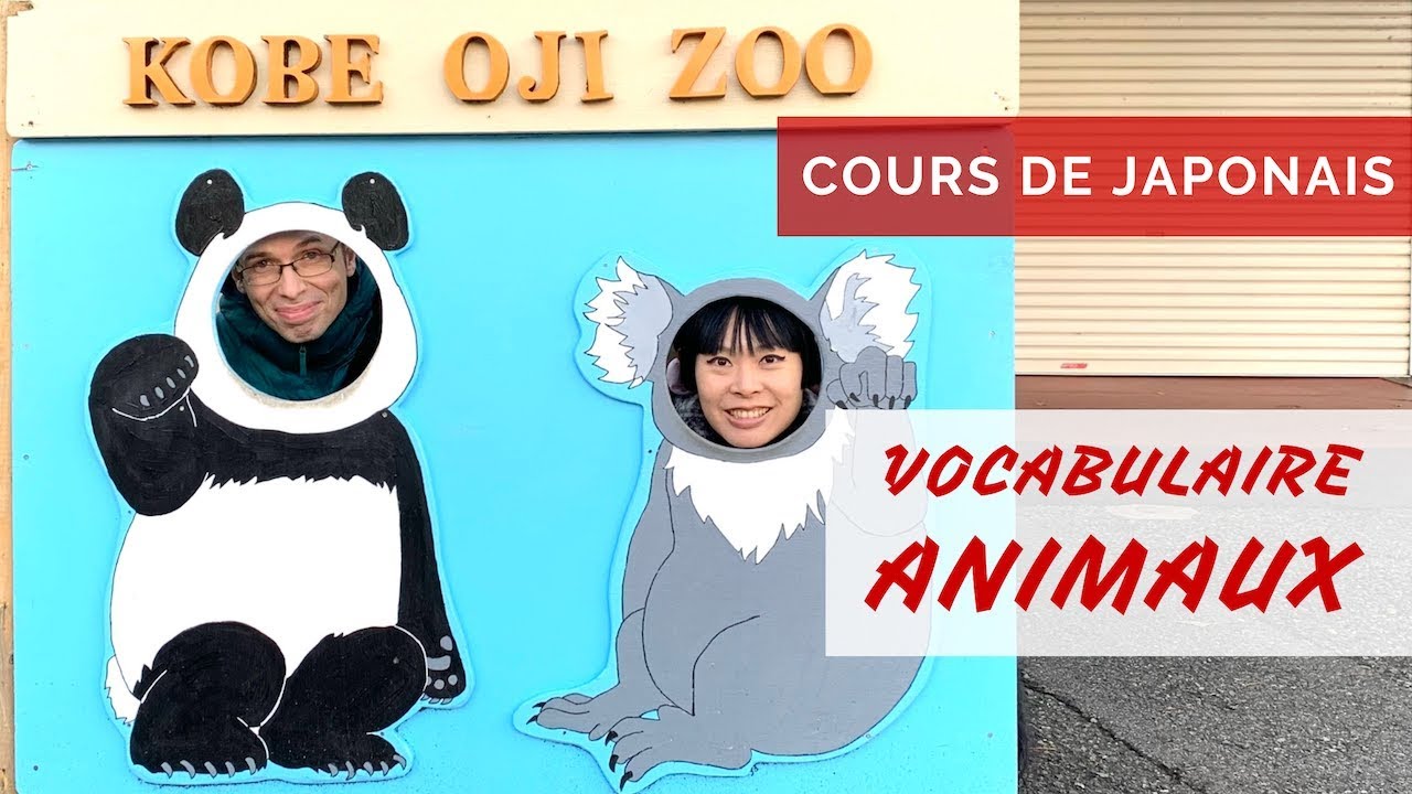 COURS DE JAPONAIS #60 Les animaux mammifères du zoo Vocabulaire #12 Éléphant Panda Tigre Lion Ours