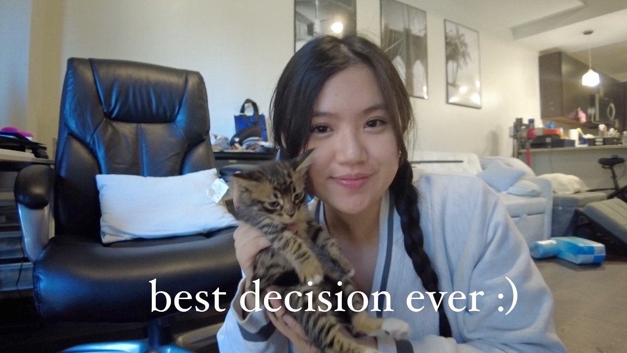 adopting a kitten on my birthday
