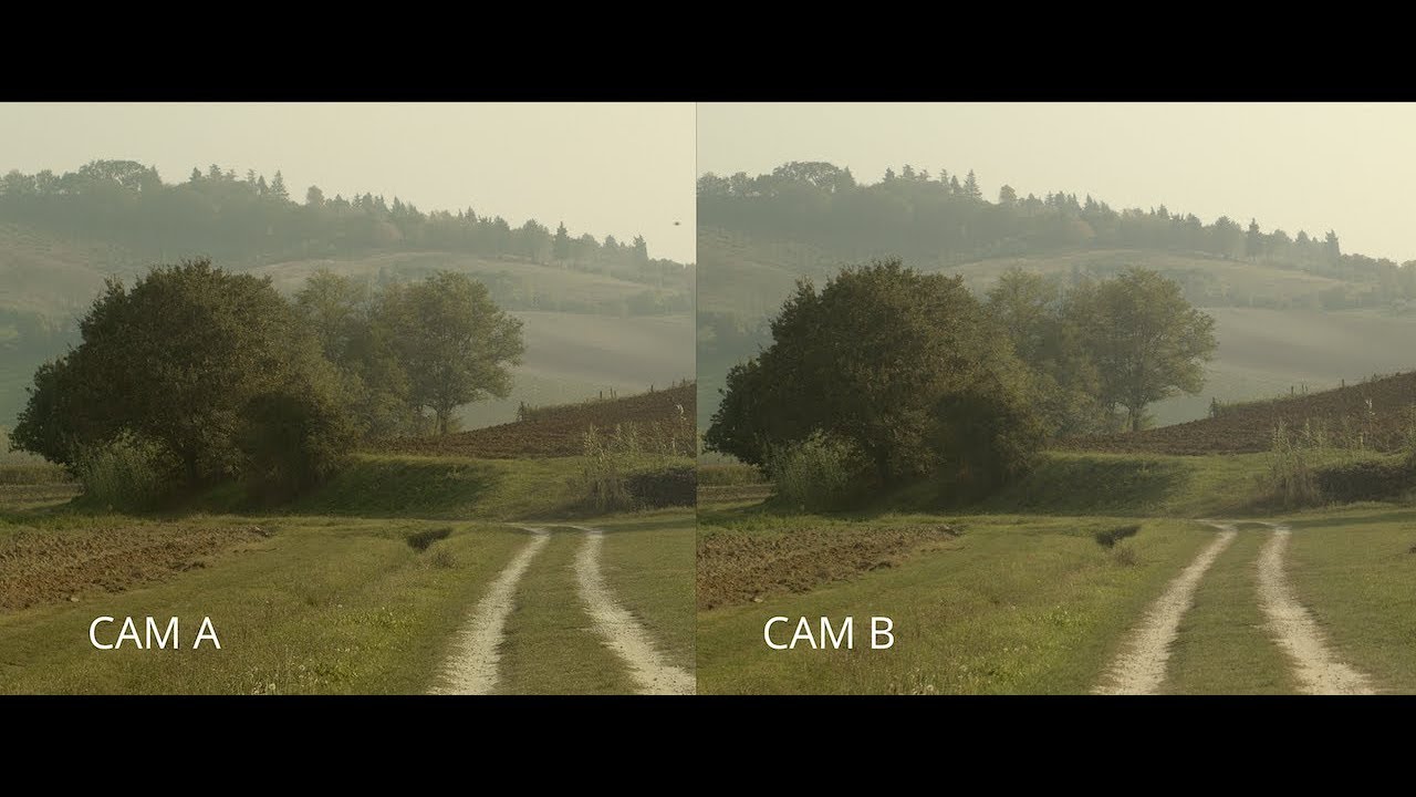 Blackmagic Pocket Cinema Camera 4K vs Panasonic GH5S (camera test)
