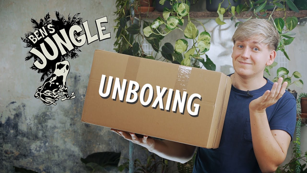 NIE wieder 😱 Mein LETZTER Ben's Jungle Plant Haul | Pflanzen Unboxing mit Überraschungen 🥲