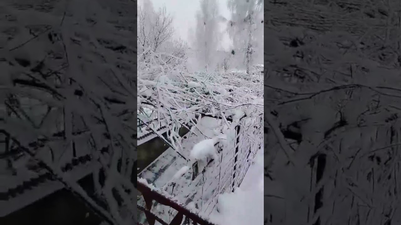 зима пришла