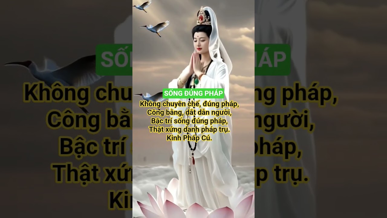 #chualanh