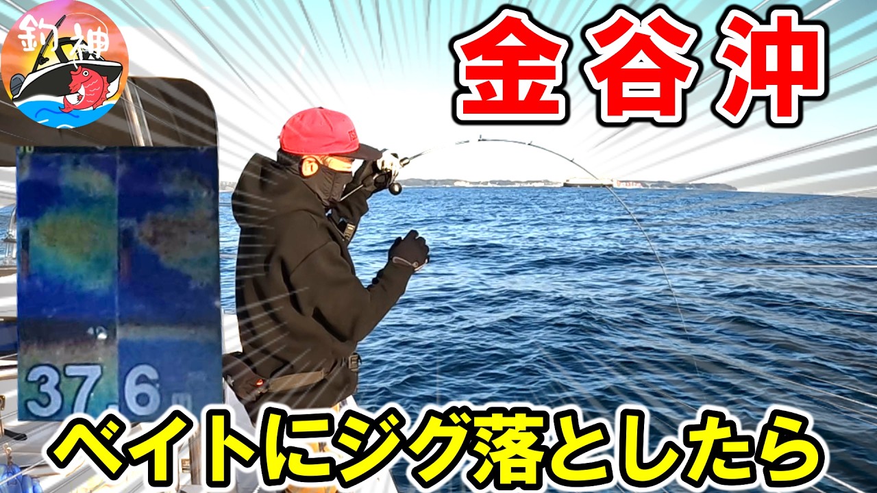 【東京湾】釣れるSLJが楽しかったです！