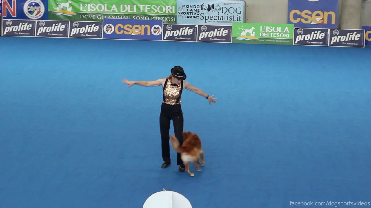 OEC2019 Sandra Roth & Boogie - Heelwork to Music WINNER