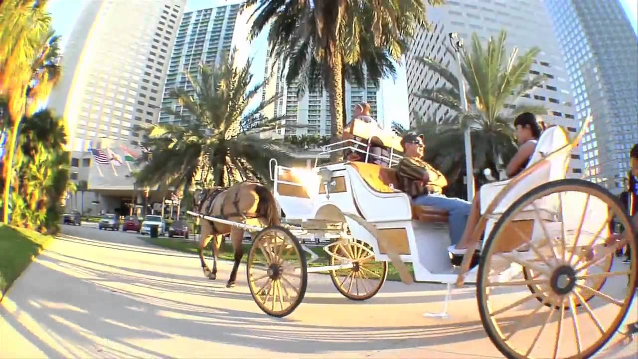 Chaz Ortiz: Exploring Miami (Part 1)