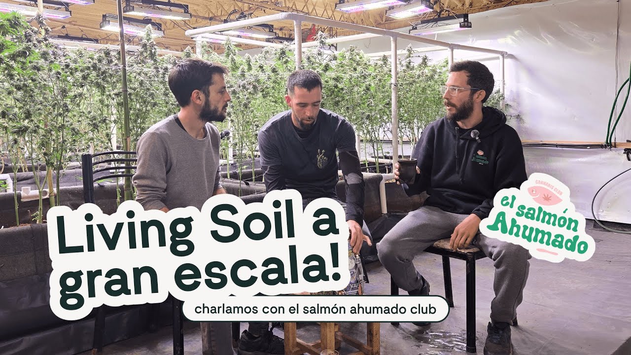 charlamos de LIVING SOIL con El Salm&oacute;n Ahumado Club!
