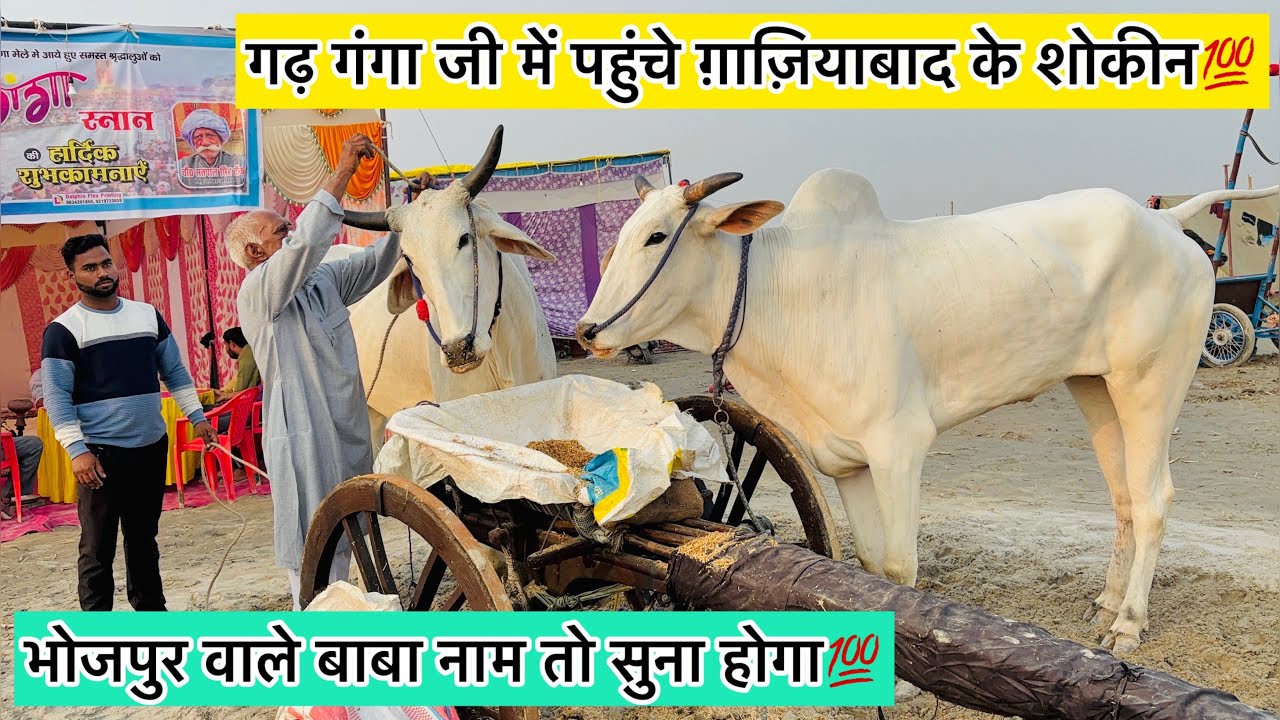 भोजपुर वाले सतपाल बाबा💯नाम तो सुना ही होगा गढ़ गंगा जी 65kmका सफर💥5घंटे15 मिनट में कर दिया😱