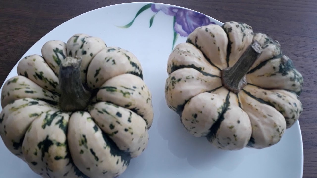 #тыква #тыкваСвитДамплинг / Тыква Свит Дамплинг (лат. cucurbita Sweet Dumpling). Новинка дачникам