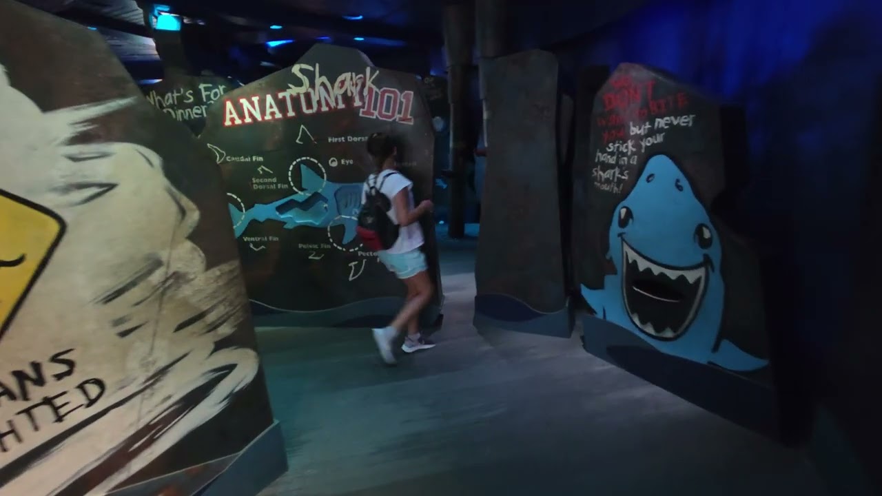 EPCOT Aquarium at Disney World July 23, 2025