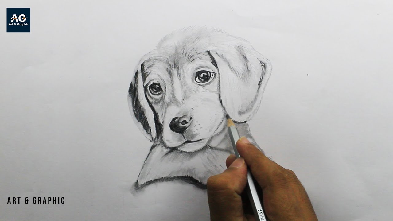 Cute Dog Pencil Drawing | time-lapse video | easy Dog Face Drawing