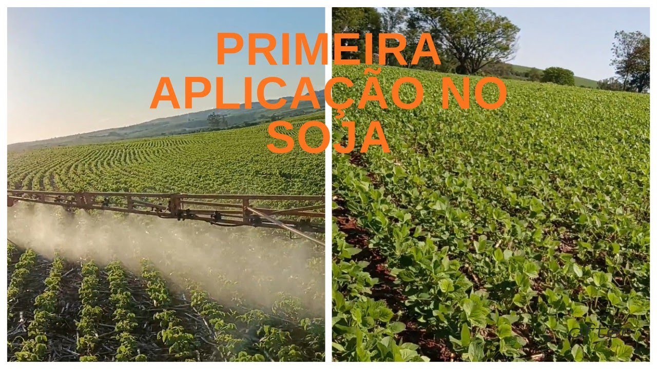 PRIMEIRA APLICAÇÃO NA SOJA, MATAGAL, MUITA CHUVA, MATO CRESCEU DEMAIS, SOJA 66I68 TÁ TOP 🌱🚜 #agro 