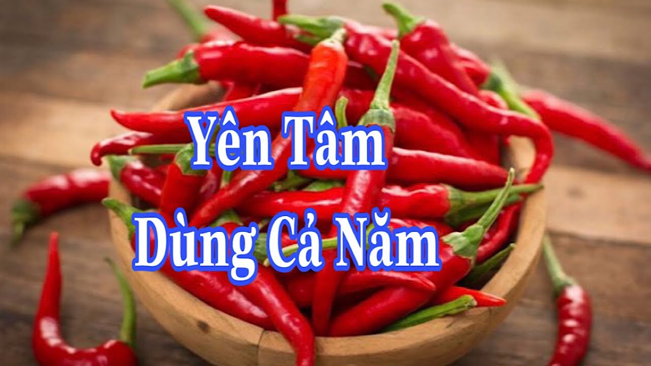 3 Mẹo Bảo Quản Ớt Tươi Lâu trên 6 tháng || Bếp Nhà Mai #39