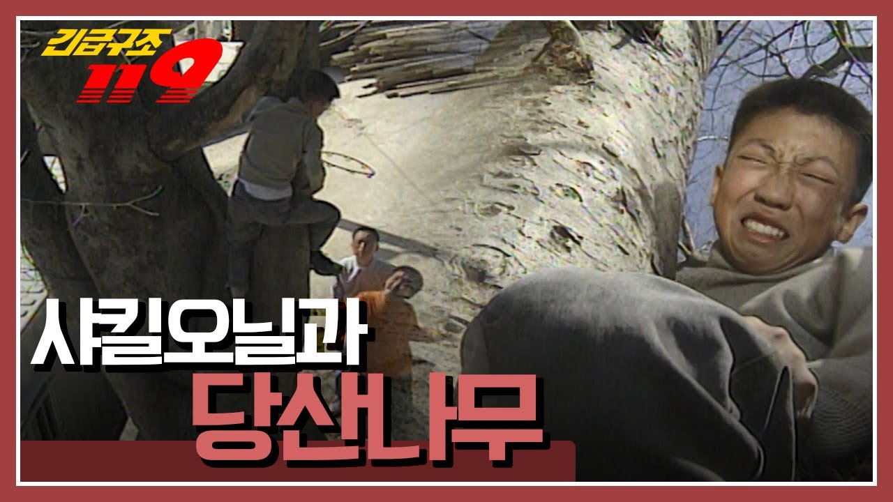 [긴급구조 119] 농구가 하고 싶어 마을 당산나무에 올라간 한 아이 '샤킬오닐과 당산나무' KBS 980421 방송