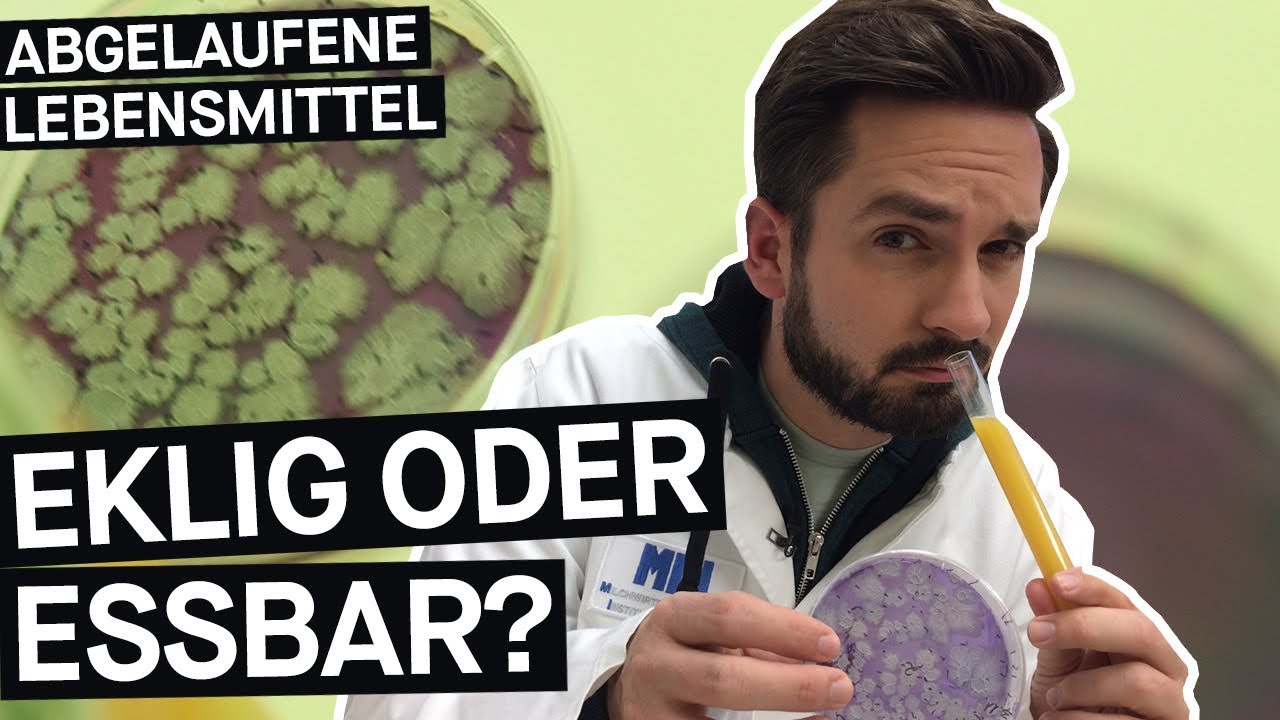 Abgelaufene Lebensmittel: Wie lange sind sie wirklich essbar? || PULS Reportage