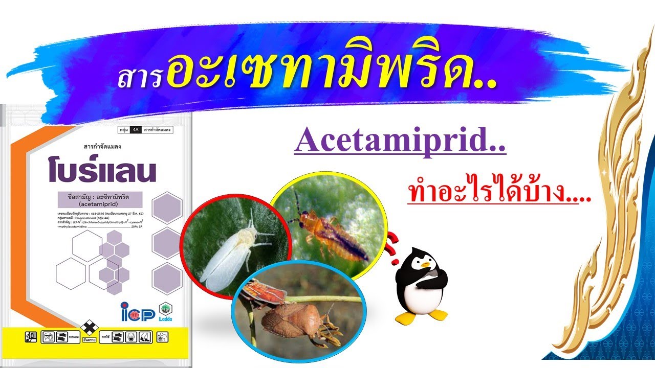 สารอะเซทามิพริด..ป้องกันกำจัดแมลงศัตรูพืช (กินตาย ถูกตัวตาย)