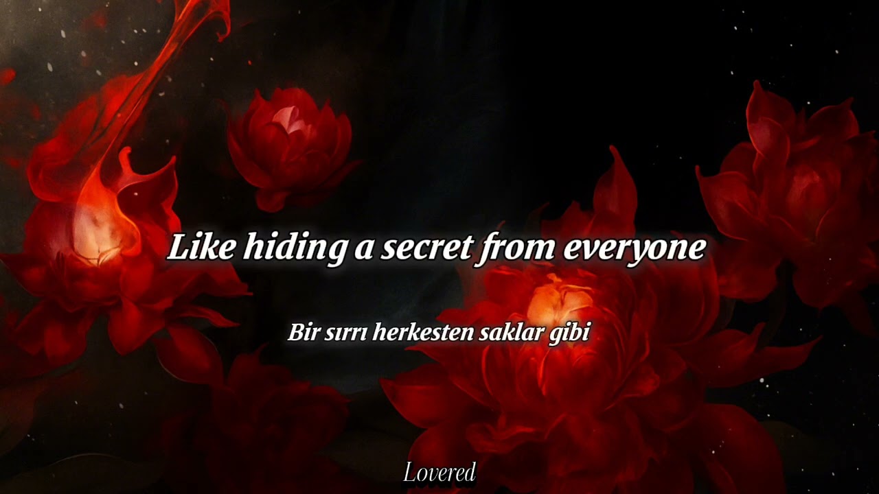 Sen benim şarkılarımsın /// Cem Adrian, Hande Mehan  English Subtitles
