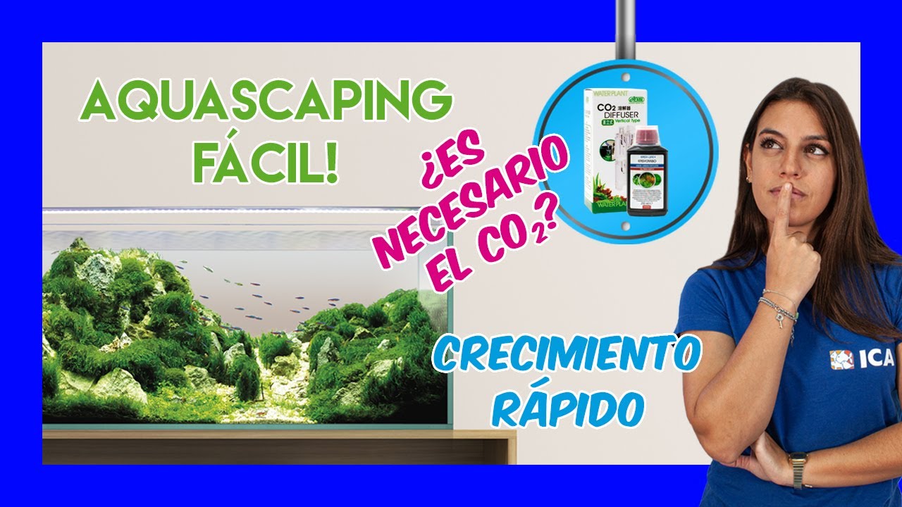 Las mejores TAPIZANTES para el acuario plantado - AQUASCAPING