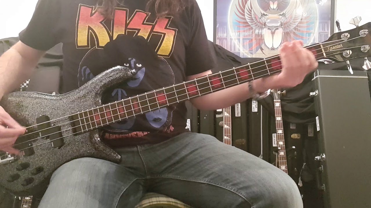 Skid Row - 'Monkey Business' Bass Cover - Rachel Bolan - Spector