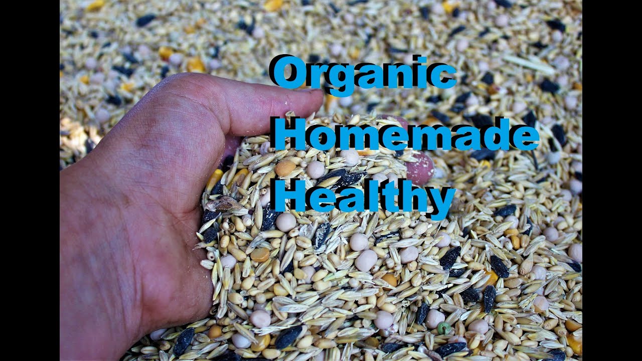 My Organic Chicken Feed Mix