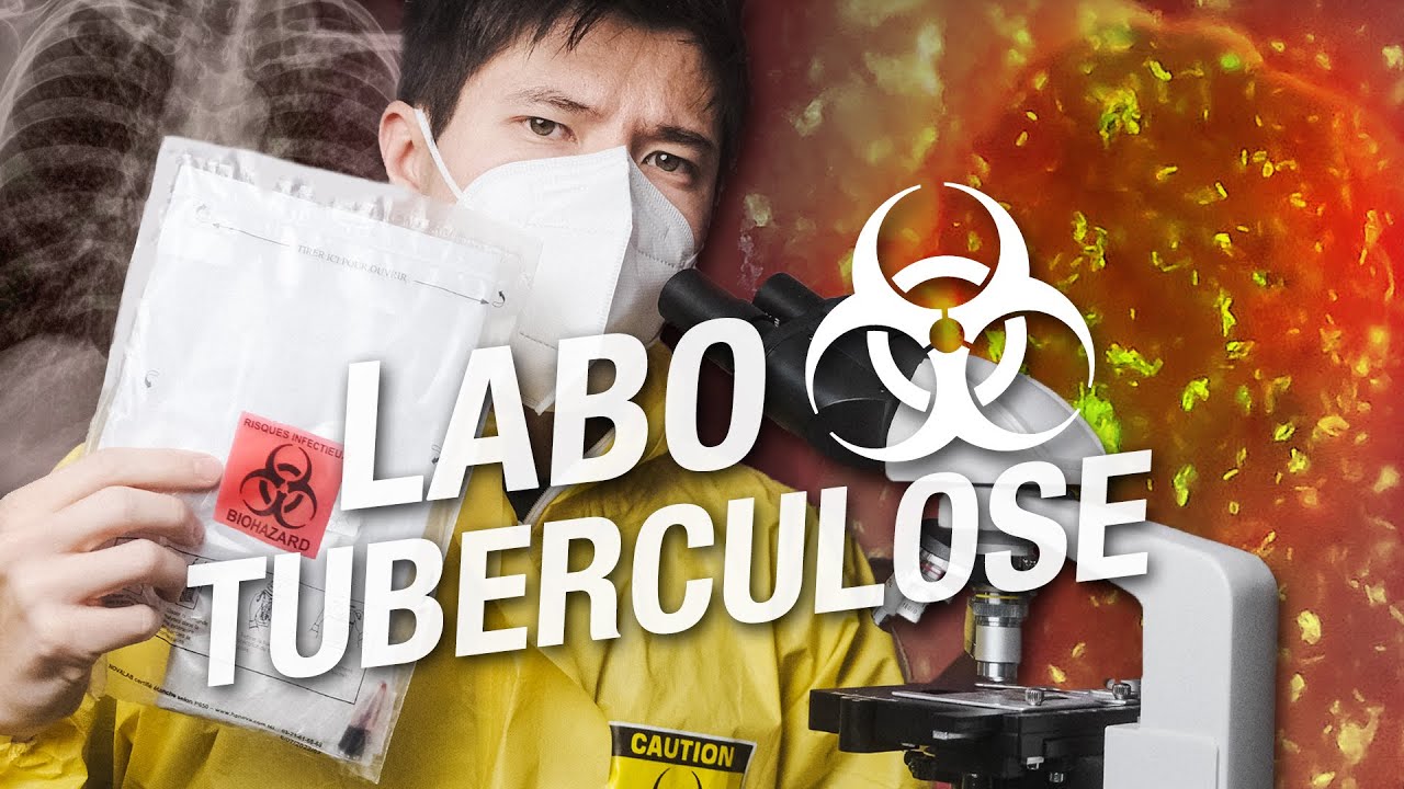 Tuberculose : la traque d'un ennemi invisible - Immersion en laboratoire BK