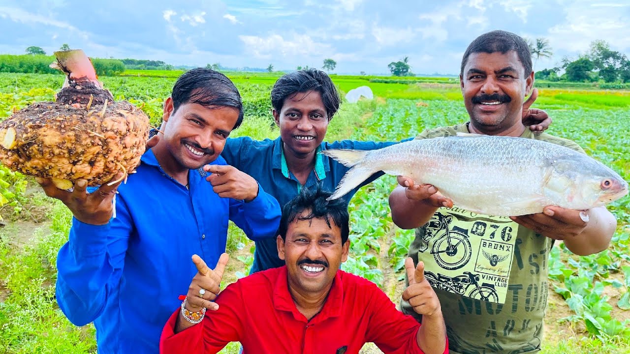 ইলিশ মাছের কড়াই ভাপা সঙ্গে ইলিশ মাছের মাথা দিয়ে মাঠের টাটকা ওল কচু রান্না | village cooking vlog