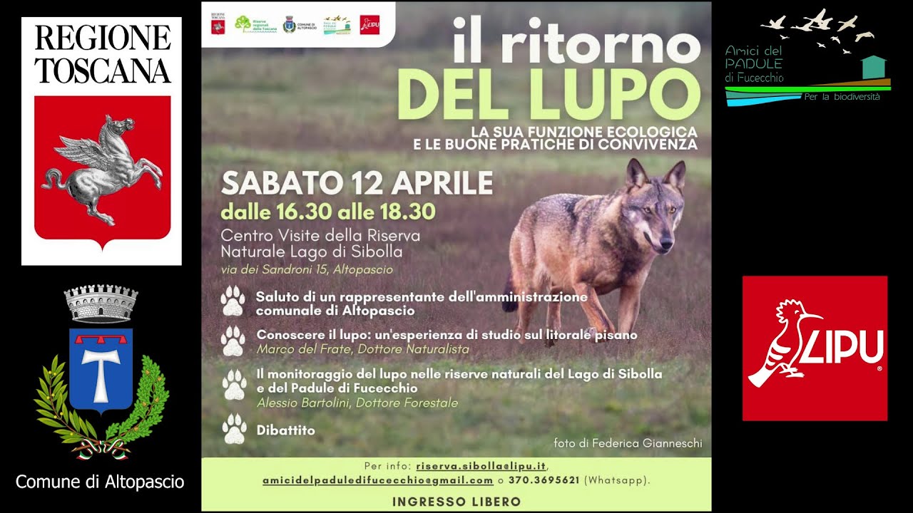 Il ritorno del lupo, la sua funzione ecologica e le buone pratiche di convivenza.